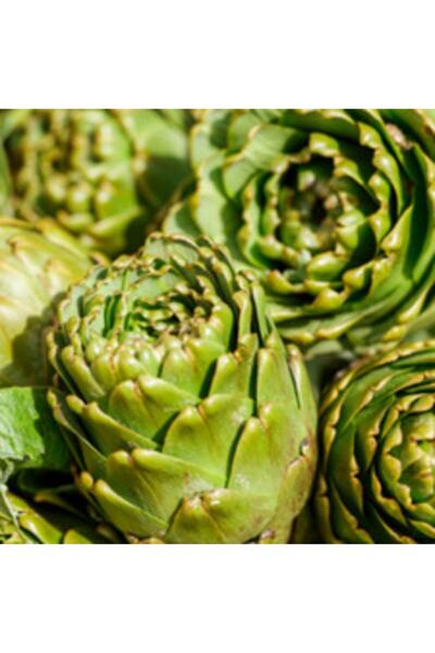 Karareis Çiftliği 10 Adet Taze Enginar