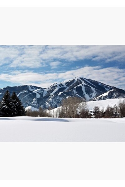 Universal Απολιθωματισμένο ξύλινο διακοσμητικό αφίσα από ξύλο, με θέμα το Κελ...