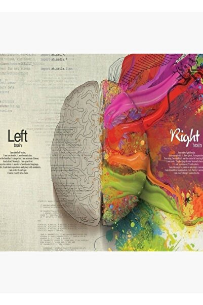 Universal Αριστερός Εγκέφαλος και Δεξιός Εγκέφαλος Ξύλινη Διακοσμητική Αφίσα
