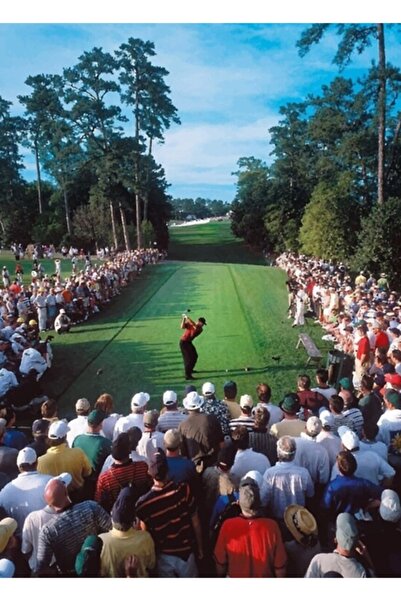 Universal Αφίσα 18ου οπήλου των Masters 2001, Ξύλινη Διακοσμητική Αφίσα Ζωγρα...