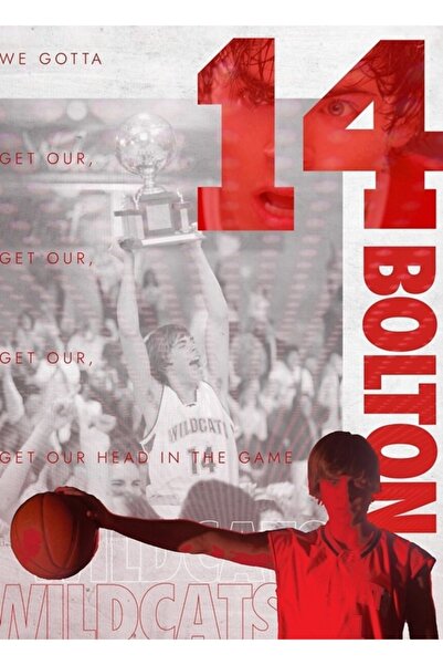 Universal Troy Bolton Tablou cu pisici sălbatice Poster decorativ din lemn