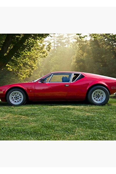 Universal Προφίλ Πίνακας Ξύλινη Αφίσα Διακοσμητική Παντέρα