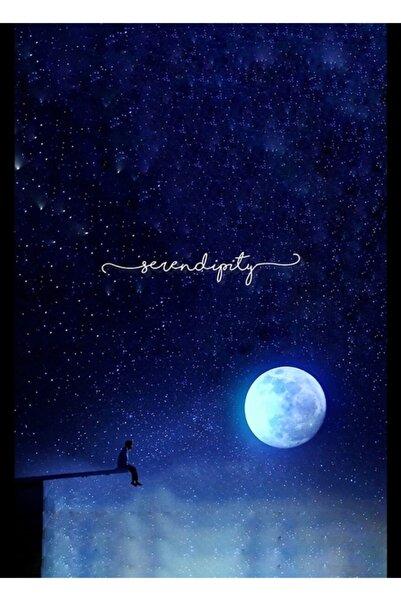 Universal Park Jimin Serendipity Tablo Poster decorativ din lemn Cod2091