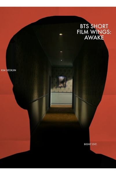 Universal Wings/bauhaus - Poster decorativ din lemn pentru pictură în mișcare...