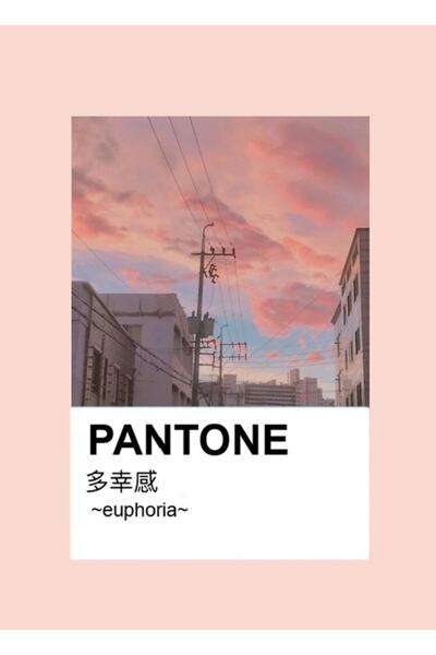 Universal Pantone Aesthetic Anime Ιαπωνικός πίνακας ηλιοβασιλέματος Ξύλινη αφ...