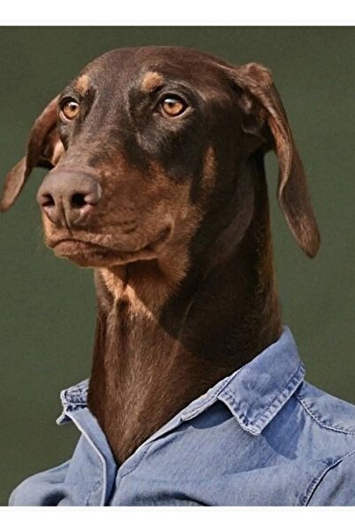 Universal Bam (câinele lui JK) Tablou Poster din lemn decorativ Cod2769