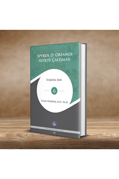 Psikoterapi Enstitüsü Spyros D. Orfanos Atölye Çalışması - İlişkisel Seri 6