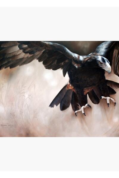 Universal  "alight - Κάρτα Αετού με ουρά κολοκύθας " Ξύλινη Διακοσμητική Αφίσ...