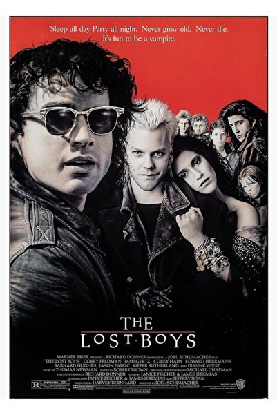 Universal Posterul filmului The Lost Boys, tablou decorativ din lemn.