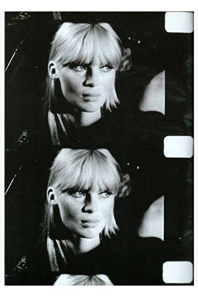 Universal Velvet Underground - Πίνακας ταινίας του Nico Claude, Ξύλινη διακοσ...