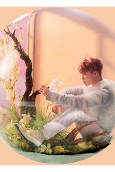 Universal Jimin Bts Balloon Painting Wooden Poster Decorative Code3631