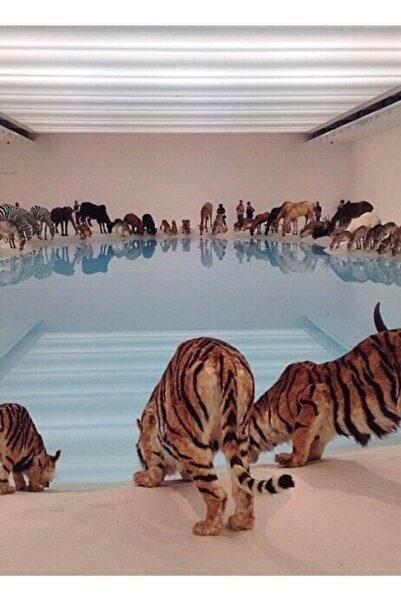 Universal 99 Life-Like Animals. Artwork Painting Wood Poster Decorative