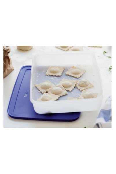 Tupperware Purple White Alaska Series Deep Freezer Storage Container 2.25 Lt