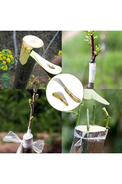 Telvesse Burcu Grafting Knife Grafting Scissors Straight Grafting Knife Set Foldable Grafting Tool