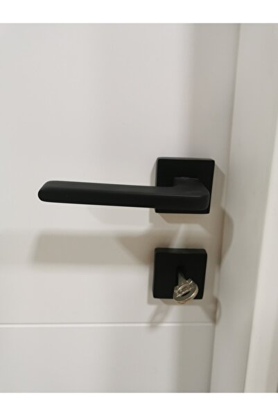 armex Paslanmaz Kapı Kolu