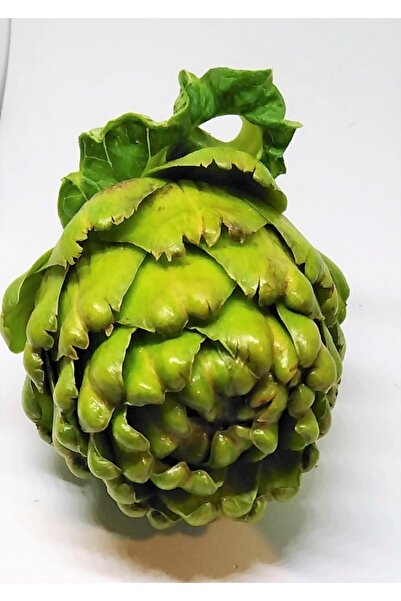 Karareis Çiftliği Taze Enginar 20 Adet