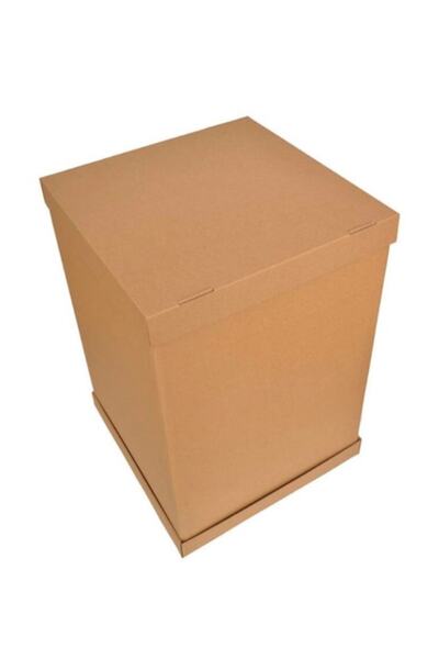 kutula 32 Cinsiyet Kutusu