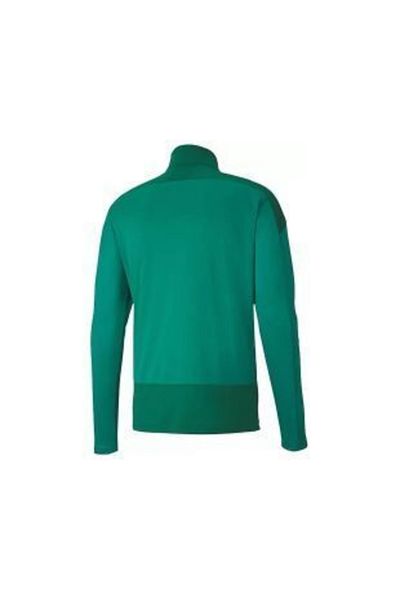 Puma Teamgoal 23 προπόνηση 1 4 ανδρικές μπλούζες προπόνησης ποδοσφαίρου με φερμουάρ 65647605   Πράσινο