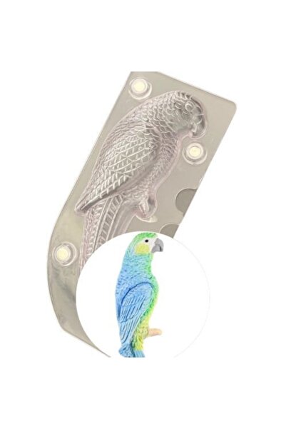 PASTRY PLANET قالب شوكولاتة الببغاء ثلاثي الأبعاد من البولي كربونات