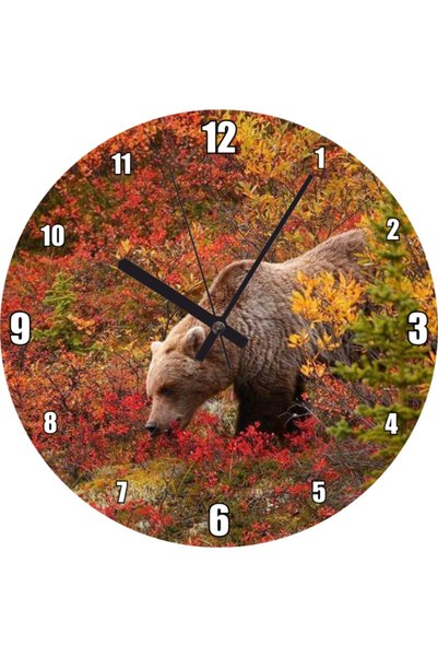 Cakatablo Autumn Colorful Grizzly Bear in the Forest Visual Wall Clock (Diame...