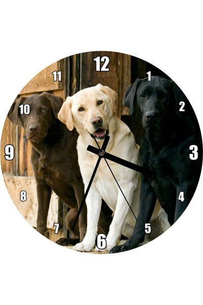 Cakatablo Coffee Cream and Black Labrador Wall Clock (Diameter 30X30 cm)