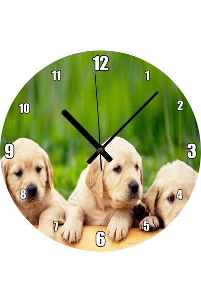 Cakatablo Three Cute Labrador Wall Clock on the Log (Diameter 30X30 cm)