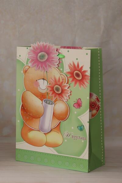 demontecraft 3 Boyutlu Yeşil  Kız-Erkek Bebek Büyük Boy Hediye Çantası