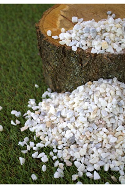 Asenya Dolomit Taş 5 Kg 0,5-1 Cm Karışık Renkli Çakıl Taşı Saksı Taşı Dere Ta...