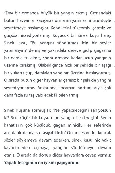 BERRAKKA Sinek Kuşu Uras Küpe Gümüş