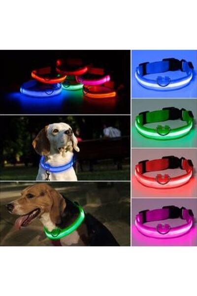 Genel Markalar Kedi Köpek Led Işıklı Boyun Tasması, Ayarlanabilir Boyun Tasması