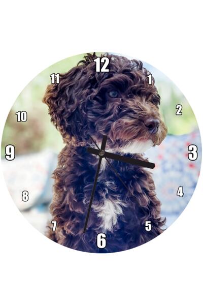 Cakatablo Black and White Curly Feathered Terrier Wall Clock (Diameter 30X30 cm)