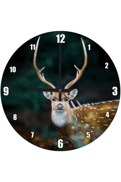 Cakatablo Symmetry of Deer Antlers Wall Clock (Diameter 30X30 cm)