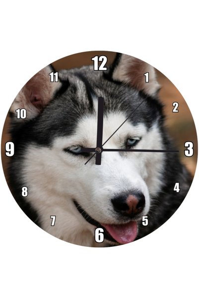 Cakatablo Cute Siberian Husky Wall Clock (Diameter 30X30 cm)
