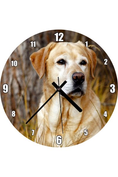 Cakatablo Labrador Wall Clock among Dry Herbs (Diameter 30X30 cm)
