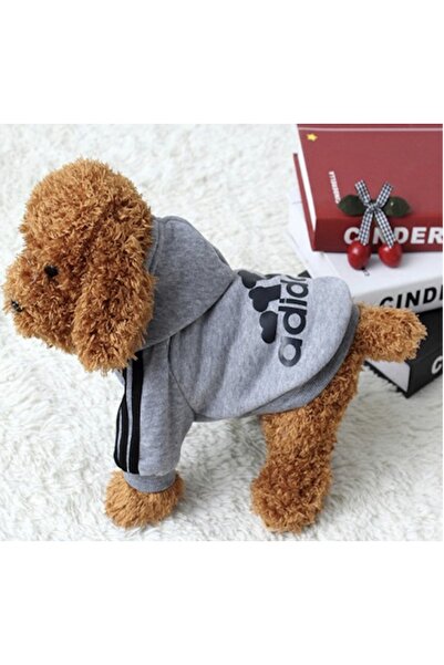 Genel Markalar Kapşonlu Köpek Kedi Eşofmanı Tarz Küçük Irk Hayvanlar Terrier ...