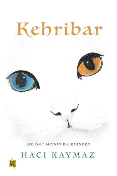 Kehribar / Hacı Kaymaz / / 9786257324649