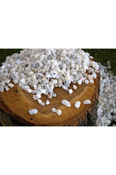 Asenya Dolomit Taş 20 Kg 0,5-1 Cm Karışık Renkli Çakıl Taşı Saksı Taşı Dere T...