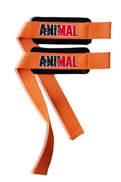 E-HSPORT حزام رفع الأثقال حزام الأثقال حزام المعصم