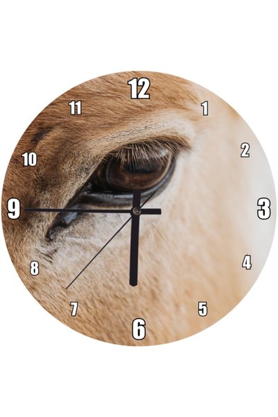 Cakatablo Brown Donkey and Eye Close-Up Wall Clock (Diameter 30X30 cm)