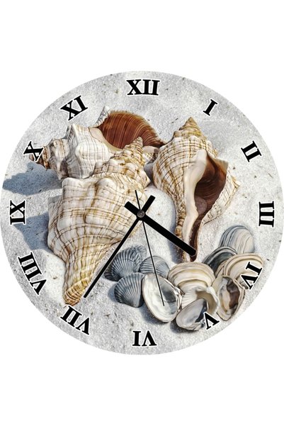 Cakatablo Sea Shells in the Sand Wall Clock (Diameter 30X30 cm)