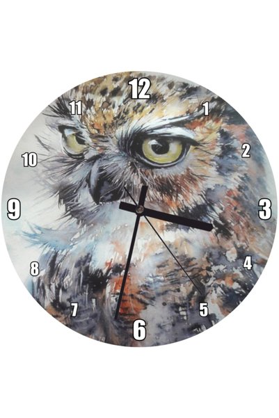 Cakatablo Owl Close Plan Watercolor Drawing Wall Clock (Diameter 30X30 cm)