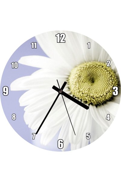 Cakatablo Daisy Close up Sky Background Wall Clock (Diameter 30X30 cm)