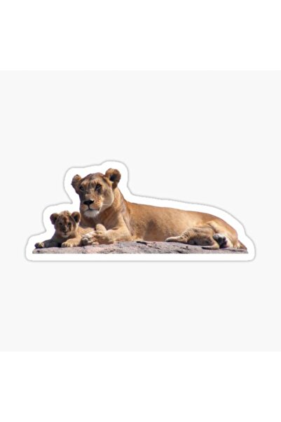 TSC Lion Patterned Small Baby Car Sticker - Colorful, W3