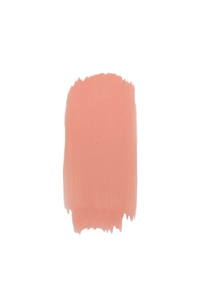 Piktura Su Bazlı Akrilik Boya 200ml (DUVAR BOYASI)