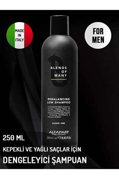 Alfaparf Blends of Many Special Balancing Shampoo for Men with Dandruff and O...