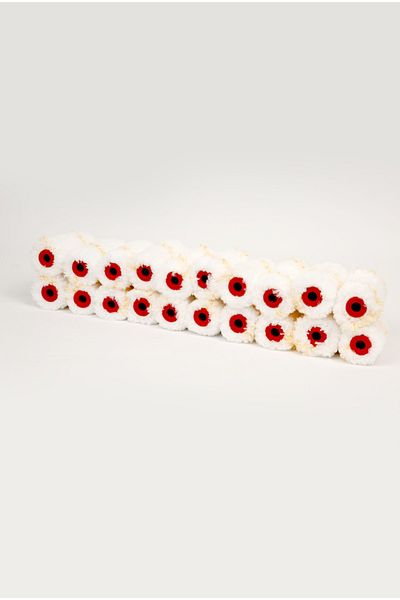 FırsatYapıMarket Finger Polyamide Roll Spare 20 Pieces