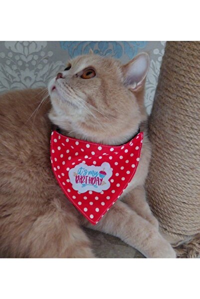 stylie Doğum Günü Temalı Kedi Ve Küçük Irk Köpek Fuları Kırmızı