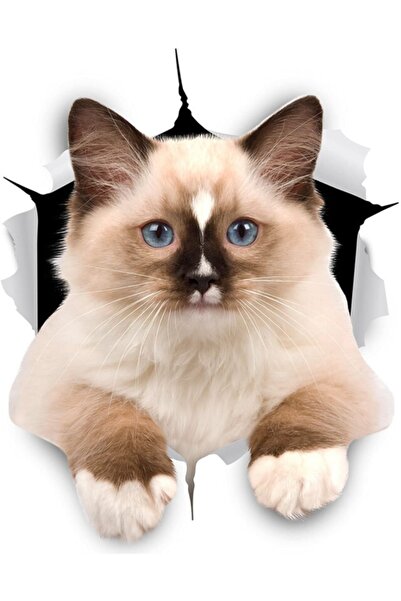 TSC Autocolant pentru autocolant pentru mașină cu efect de sticlă spartă Z8