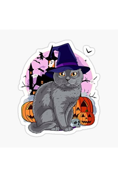 TSC Chartreux Kedi Auto Sticker Autocolant Colorat V2