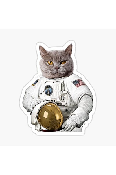 TSC Chartreux Kedi Autocolant Auto Colorat V8